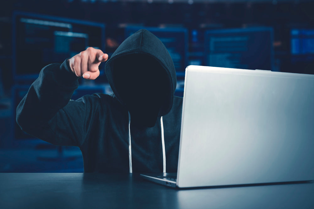 VistaProtect™ - Premium Privacy & Anti-Blue Light Filters Since 2017